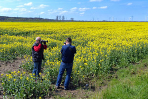 Foto-Radtour an die Elbe 3